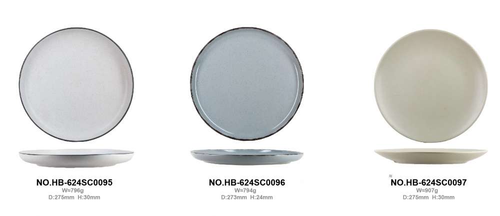 Practical matte glazed stoneware plates (5)